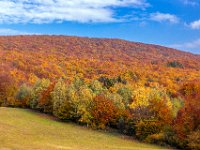 Beskid Niski